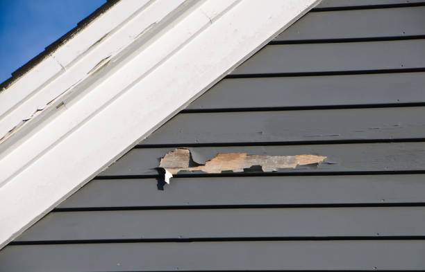 Best Construction Debris Removal  in North Browning, MT